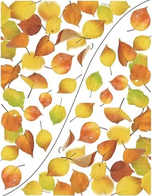 Sticker pentru colt geam cu motiv toamna - frunze de plop, 42 x 30 cm